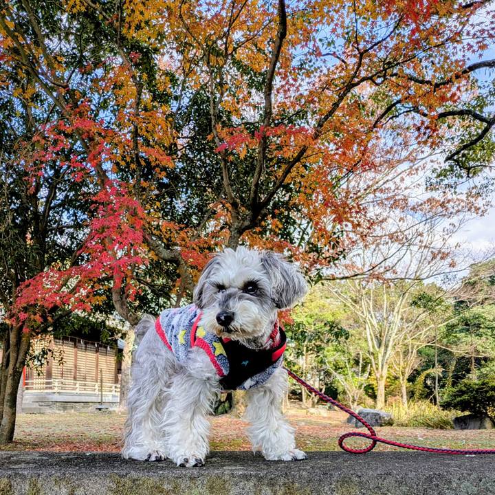 52e1c24d c4fb 4f82 9e48 16f72e32a7ab 1765069617200