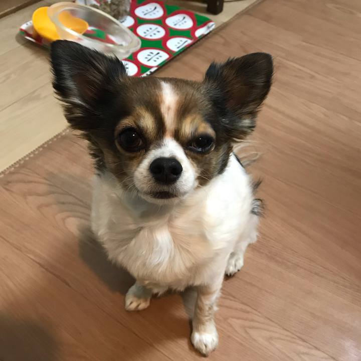 52e21db5 c582 4a8d b5f5 4f2f7824c2ad 1549119129163