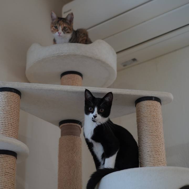 52e27b4f 793a 4b39 a5f3 c0644a74ca49 1579962795570