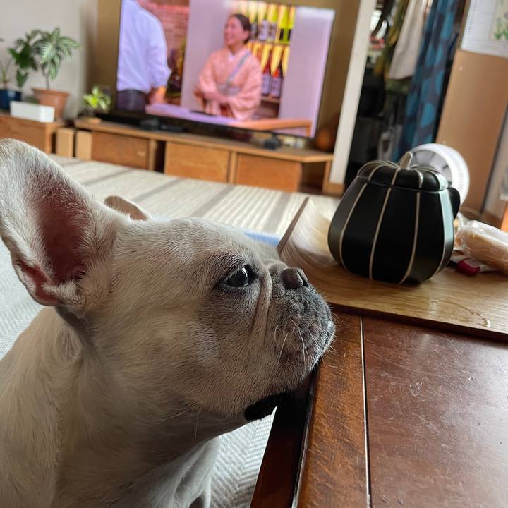 52e2fe35 b093 49dc b938 7a618c4f9c54 1727248515093