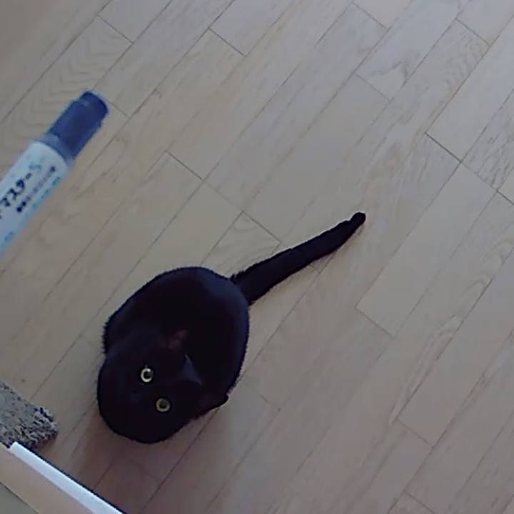 52e300b8 d160 408b 89b5 acf7284f0972 1511411857269