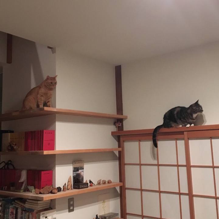 52e30e4e bf7c 4bff a307 79a5ae13877a 1533901588628