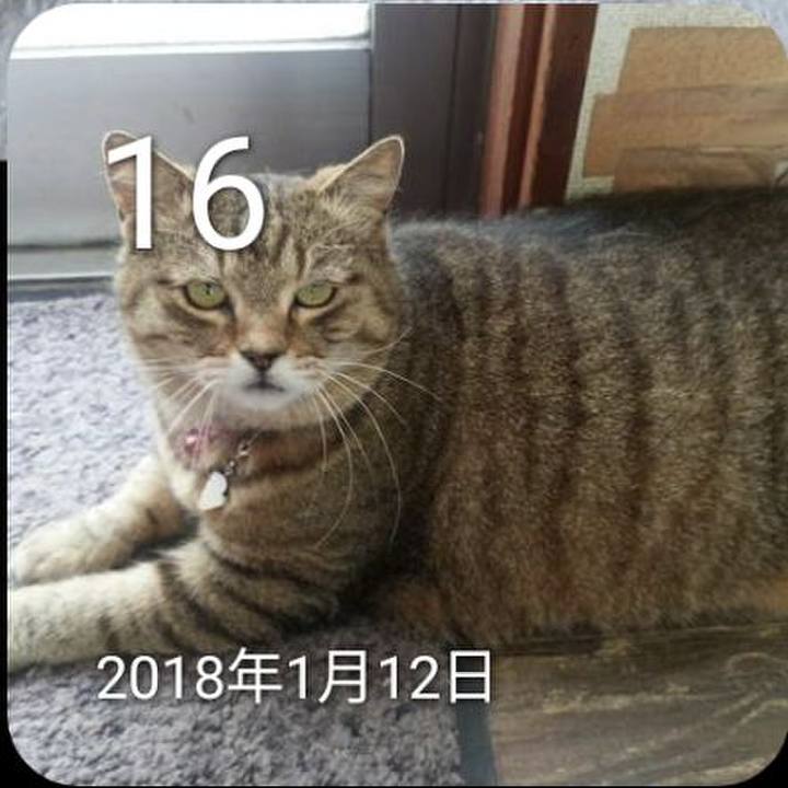 52e32e70 a5c9 47f8 bc9c af9038c984fc 1673831303108