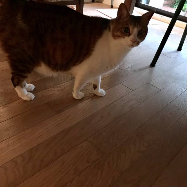 52e336e9 4a8b 4708 8002 8d89c2f09c9e 1560158265194