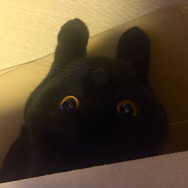 52e33d0e 0dbc 4184 a4ac 6fece01cf8f7 1523882609560