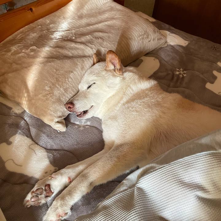 52e34038 65dd 4a8e ab0b f41d5afd8cf9 1642127666661