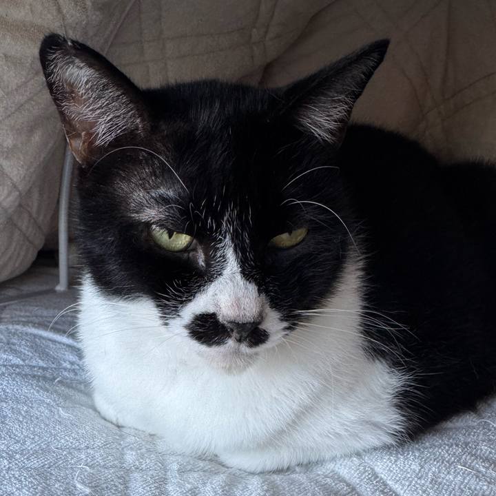 52e36127 fb5c 4b3c 86d6 e03bfe8919d5 1760659996232