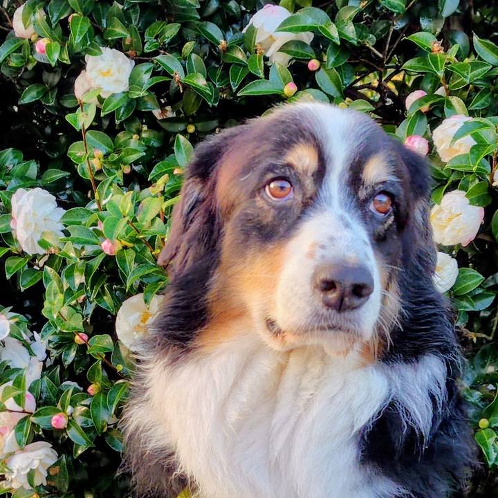 52e3762b 5ba9 47ee 81e6 780f8b963715 1765625373489