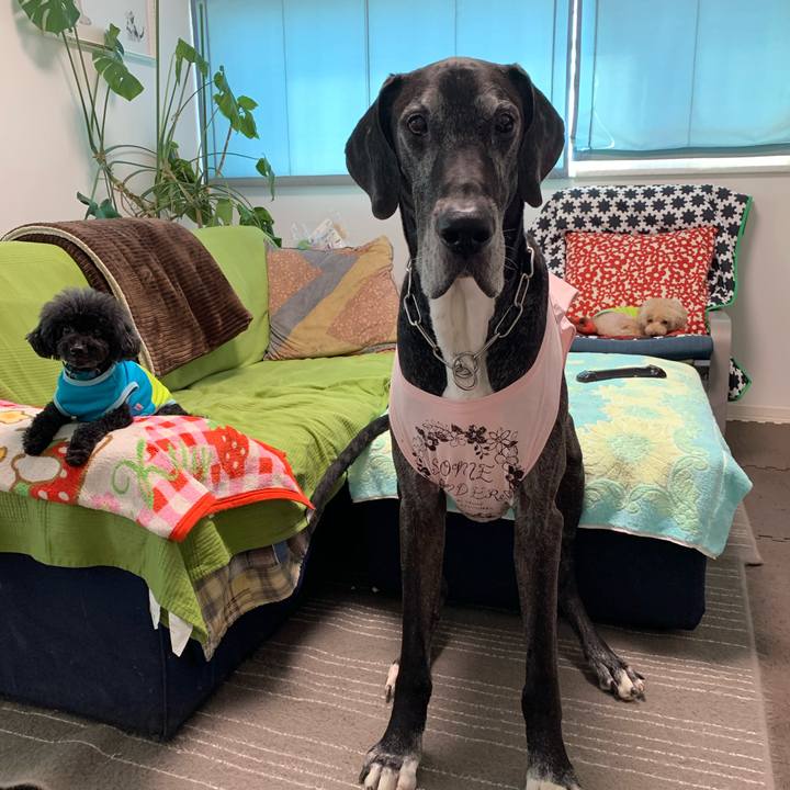 52e37f18 d9b0 4060 9a8f deeb83fb476a 1590705338084