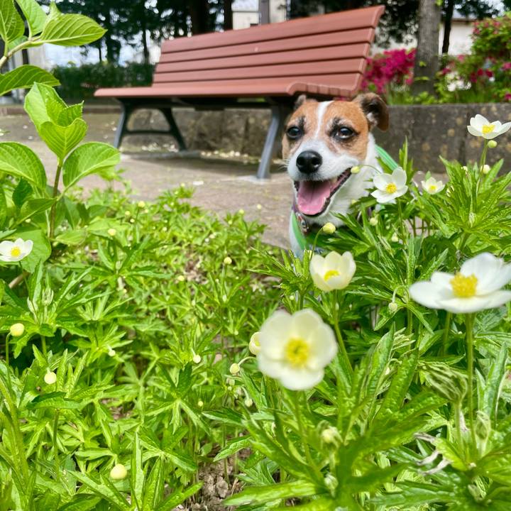 52e39f14 7b45 486b 807e 85759ae157af 1747314415681