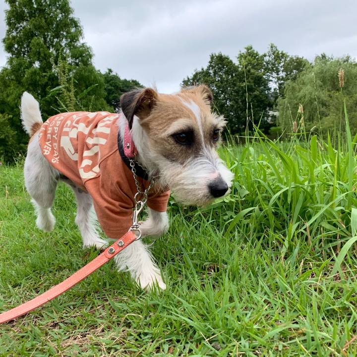 52e3a078 a057 4170 a3c7 43accb0492b5 1592996237062