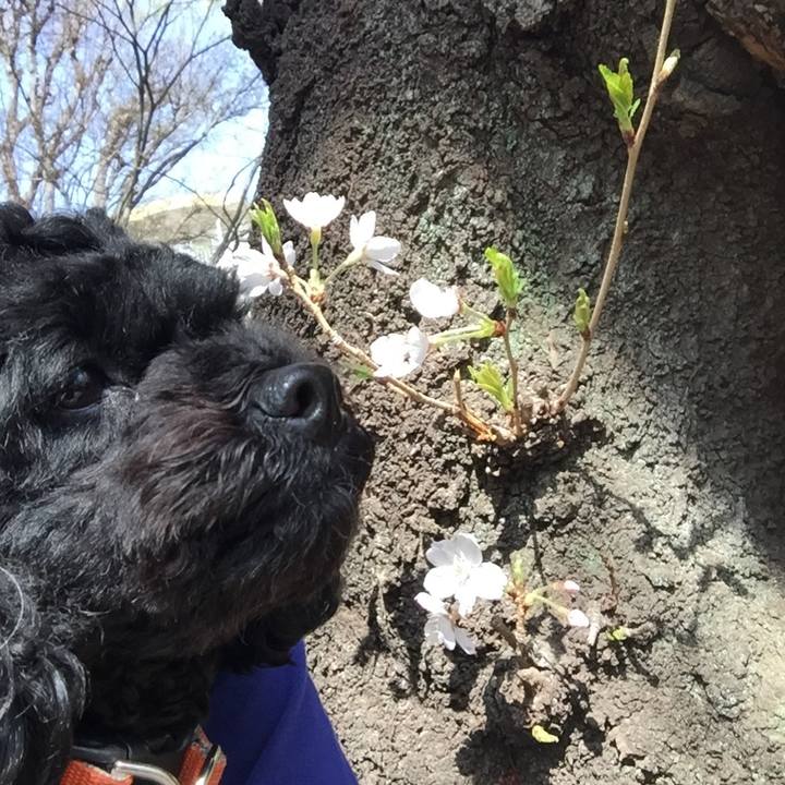 52e3da31 1566 4a75 9d94 fb8568cc8773 1522515077859