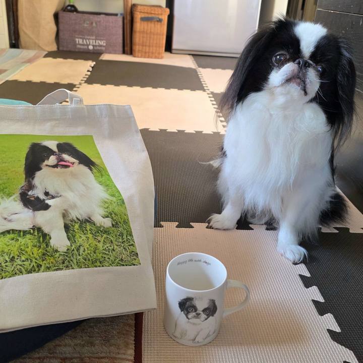 52e3e1d0 542d 4f99 a7f4 ae7a464c766a 1749037440959