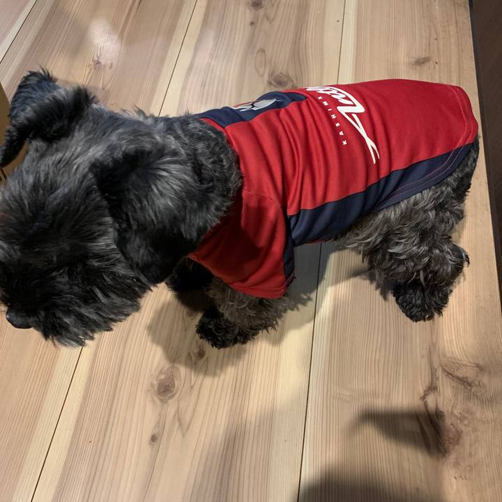 52e403dd 9284 48b3 a8ca d2517aa9eac6 1608936230778