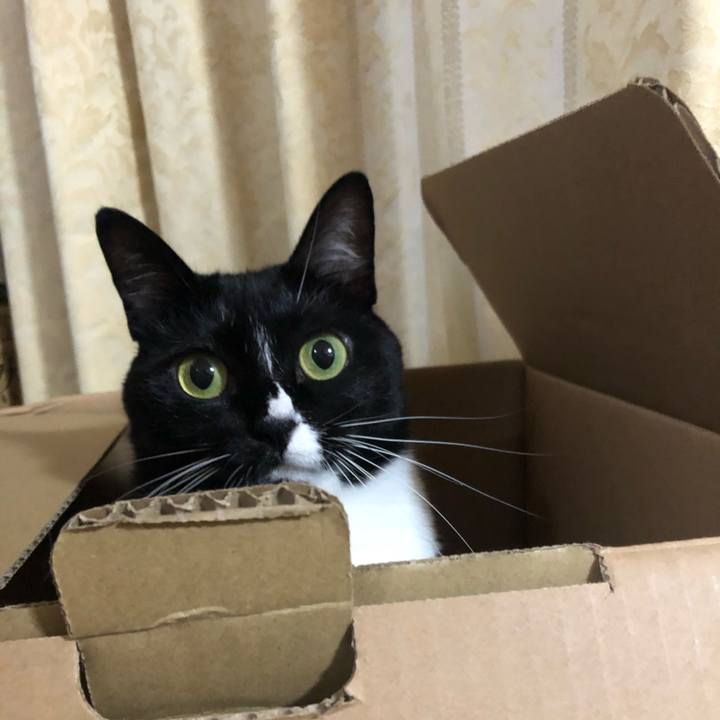 52e42533 c910 4862 8a82 102a35fdecd3 1569018450786