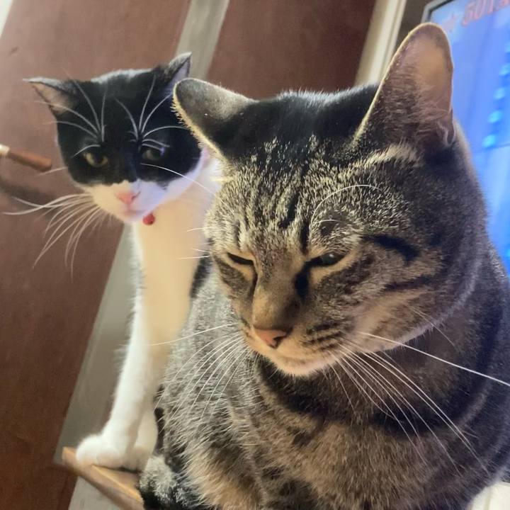 52e4420e c070 4911 a7fa 85675f6dca22 1603354759055