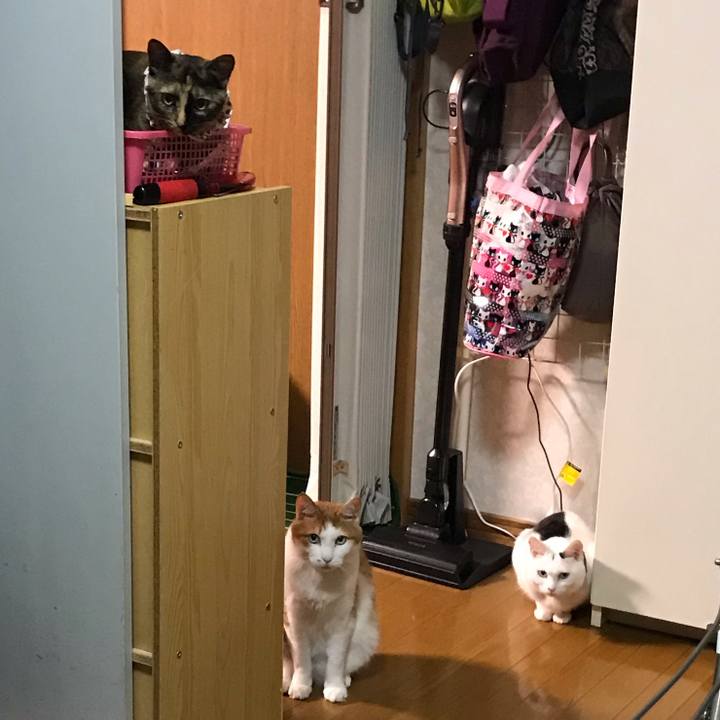 52e4a7cf 710e 47d9 aebc cca45833c53c 1621338947682