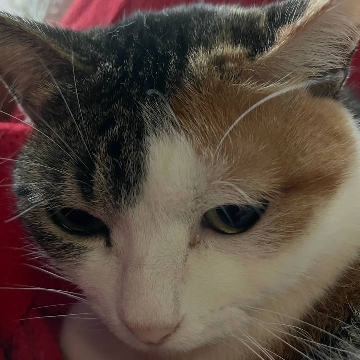 52e4afa3 bcab 40c9 a891 1be083fc3304 1619817035662