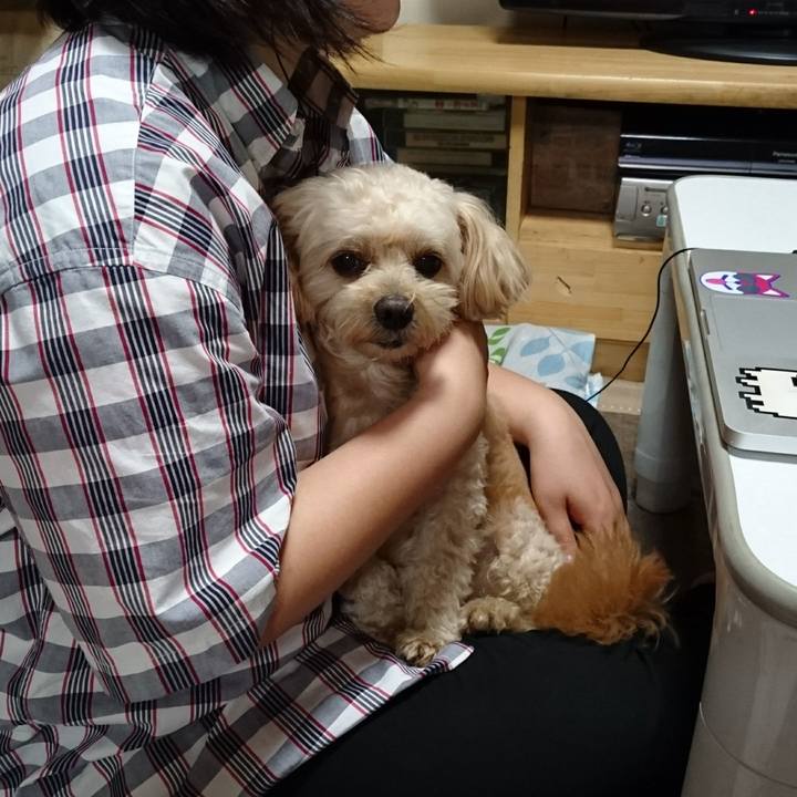 52e4cbe7 e53e 41ea 9046 281256c5990d 1568031187672