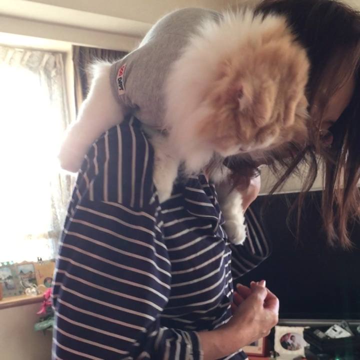 52e4e183 90a0 44b0 ba50 8294032fca0b 1549186699688