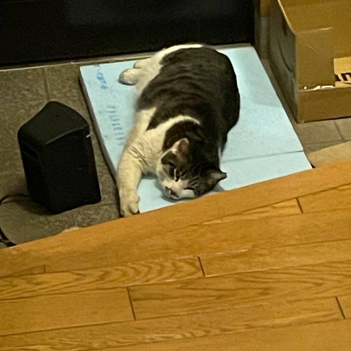 52e508dc 2ae0 4353 af4d bd56c91efa09 1612784876597