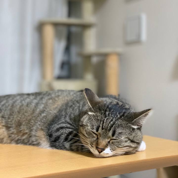 52e52bd2 f0a8 41f4 bb30 5c6651da2556 1621255747005