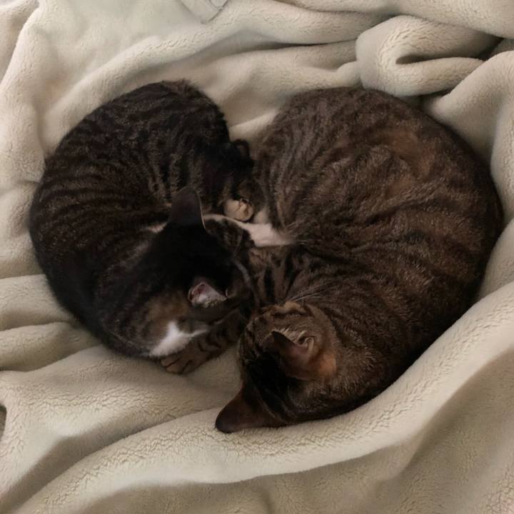 52e57ea4 0383 4e90 98bc 3612bf049bea 1525790908526