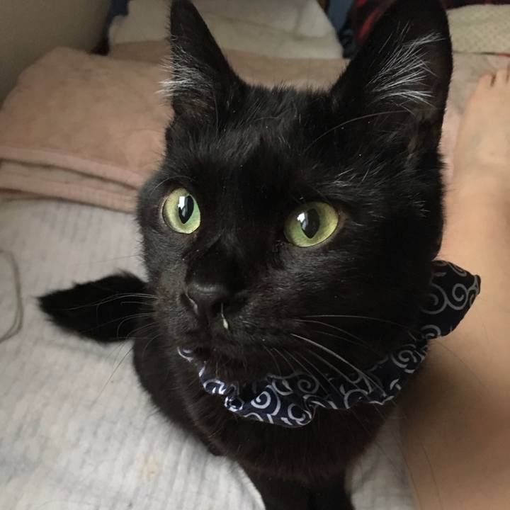 52e59d00 2508 41b3 a6f3 cb75eecdbf60 1561177007975