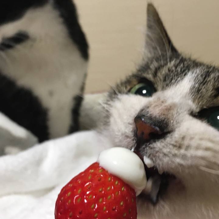 52e5fa65 4a33 48a6 b9a4 505b72db44ad 1523101922322