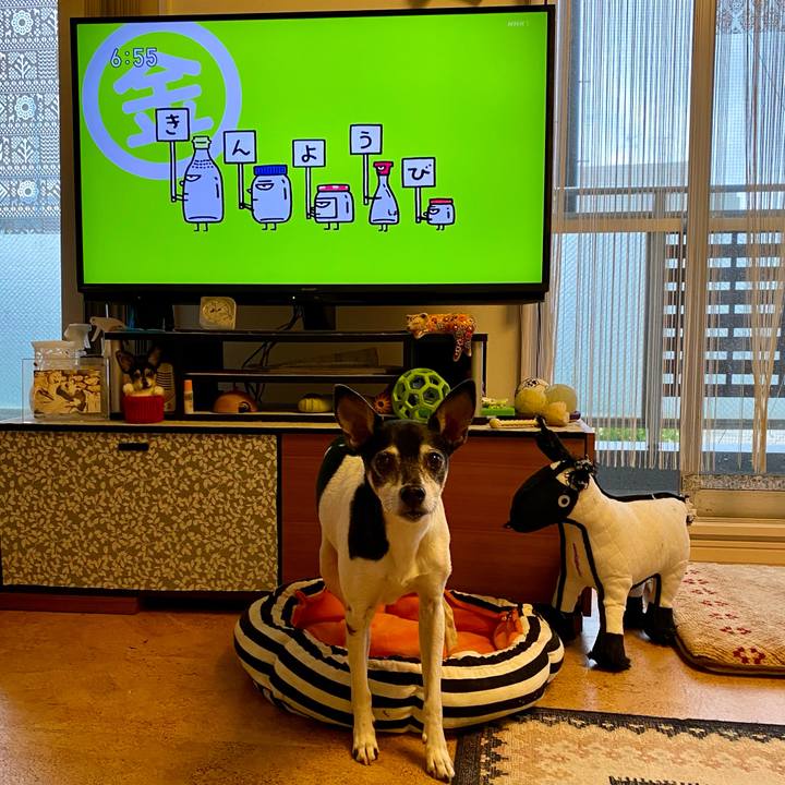 52e5fb1e f7ca 4dc7 8d2c 5aa070359f39 1621549335926