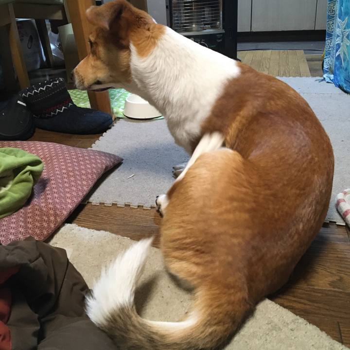 52e621ba 8421 4e35 8b20 553383edf3ae 1606402039784