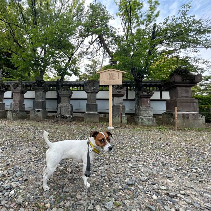 52e63f78 dfa5 4b83 8ca9 cd2929284a88 1654073892785