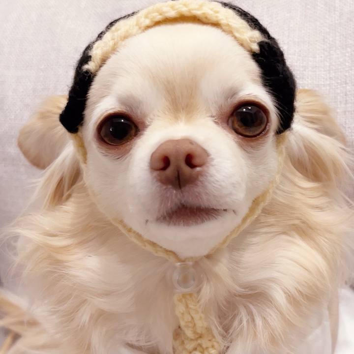 52e68356 acd4 4392 bc35 ee54899def95 1744017968425