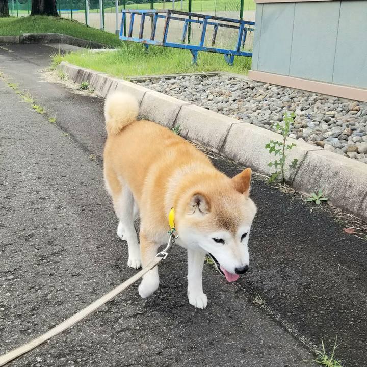 52e684a4 92dd 41f2 8f28 ed2c8d94ffe4 1689309933404