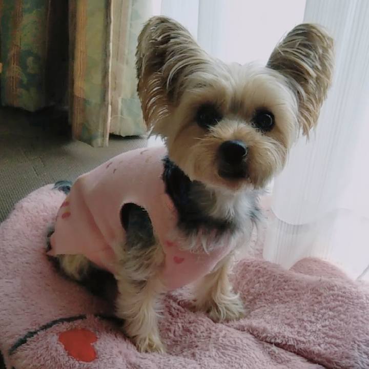 52e6b195 d85c 4be9 a79f 0d9960aa4548 1645317101386