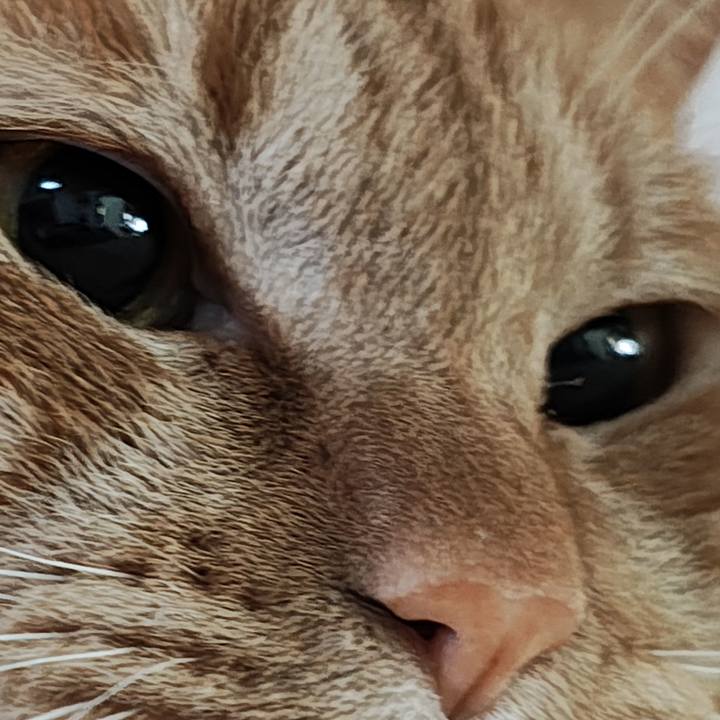 52e6ee5c 22aa 468c 9b3d ba3f267f72f1 1768631030780