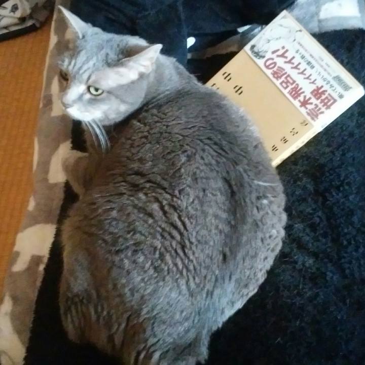 52e751c7 14b0 4d11 ae75 7b882264006b 1529112505376