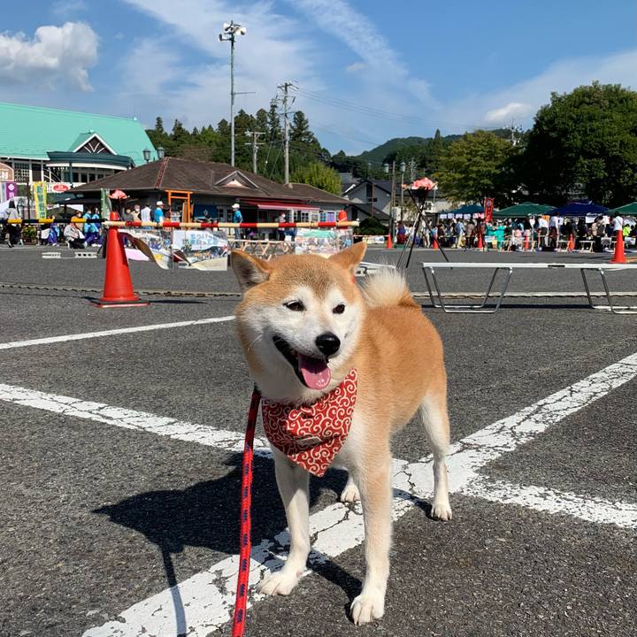 52e78304 9691 4114 ba0e 4a1953bf40b5 1666514416897