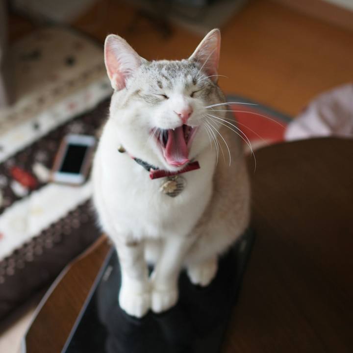 52e788be d9e2 4f86 ad60 1f54900e353c 1525084779842