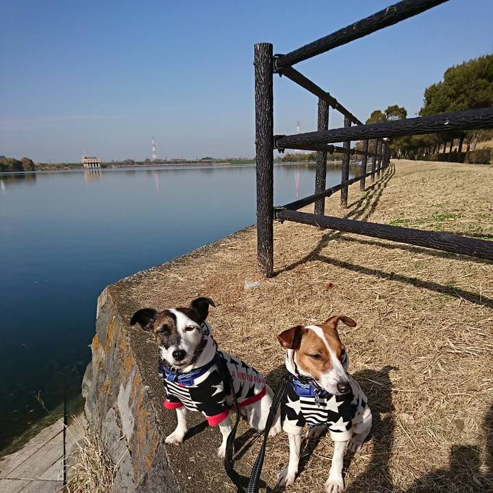 52e79587 495d 4c4d 8bf6 3eda412c35f3 1543630152653