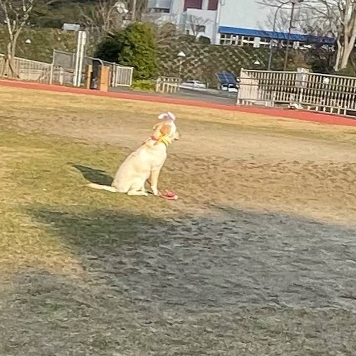 52e79742 aee9 47aa 8222 a7e455e55be9 1642575083776