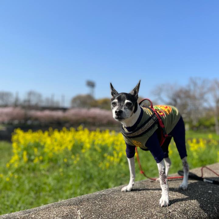 52e7b135 b0c8 4374 a87b a0926c5061f3 1649470381207