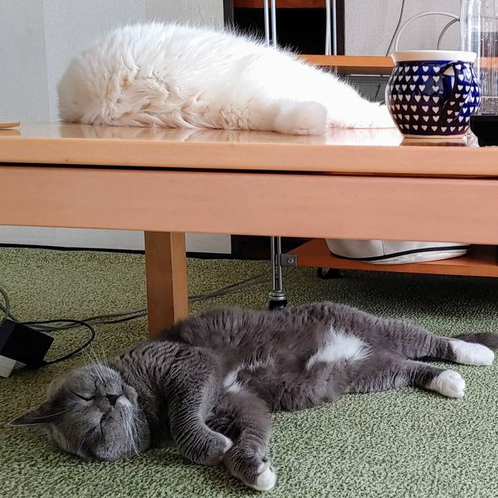 52e7c435 2b29 42b1 a95c 374d4bd4e403 1729295860433