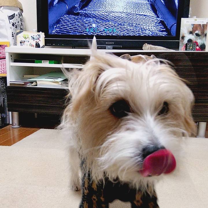 52e81c64 8912 459c 9156 210ee987df3a 1576016212609