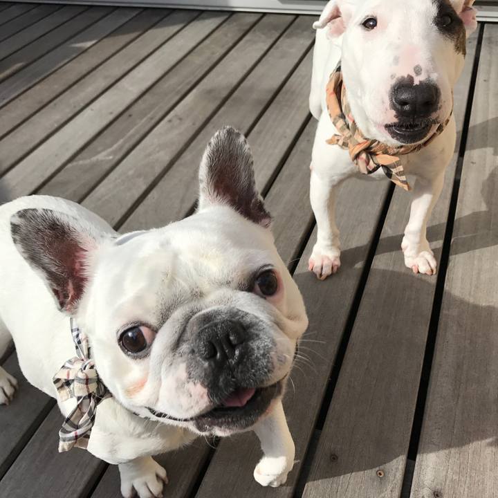 52e84215 2960 4882 a983 efc5bd052c3e 1510451919630