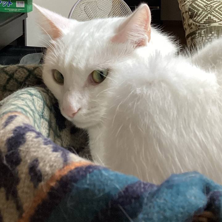 52e846cb 77ed 4ac6 877d 9b7c23ce1e1d 1664939658438