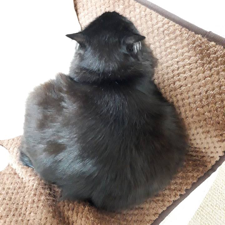 52e89c97 d4ee 4ca4 8fdb 023da6012847 1518258889717