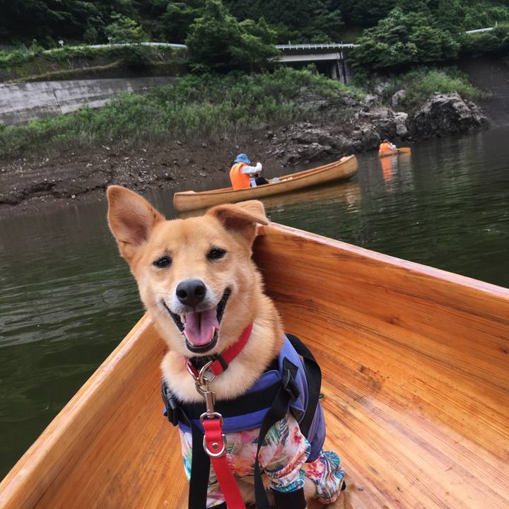 52e8a2c8 456a 49c9 b048 35bf432d910d 1530934202589