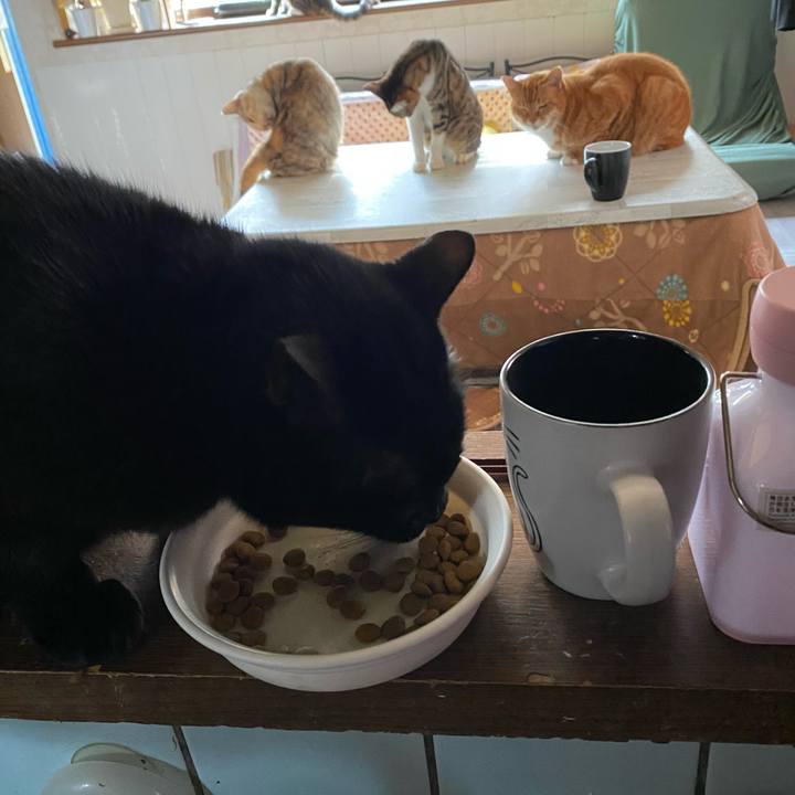 52e8c844 06b6 4215 b913 55da49222878 1609211006127