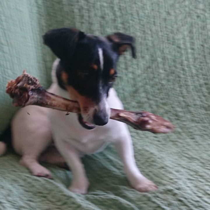 52e8d469 2acd 48be a67b 627e15b89821 1534386146099